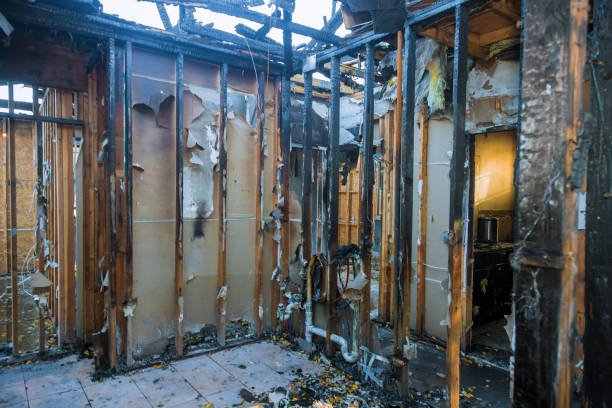 Professional Smoke Damage Removal technician working in Somerset, KY
